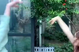 可爱小姐姐超甜舞蹈视频,小姐姐惊艳演绎超甜舞蹈,萌化你的心